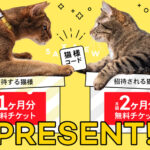 【2026年】Catlog（キャットログ）のクーポンコードの...