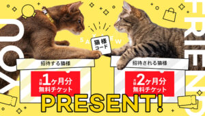 【2025年】Catlog（キャットログ）のクーポンコードの使い方をわか...